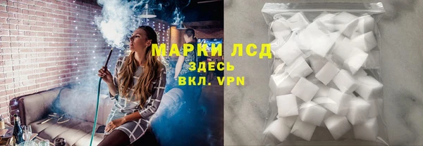 твердый Аркадак
