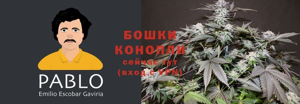твердый Аркадак