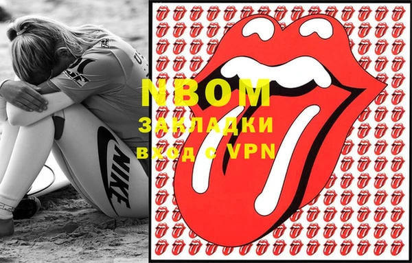 твердый Аркадак