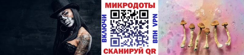 где можно купить KRAKEN как войти Псилоцибиновые грибы Cubensis Отрадный